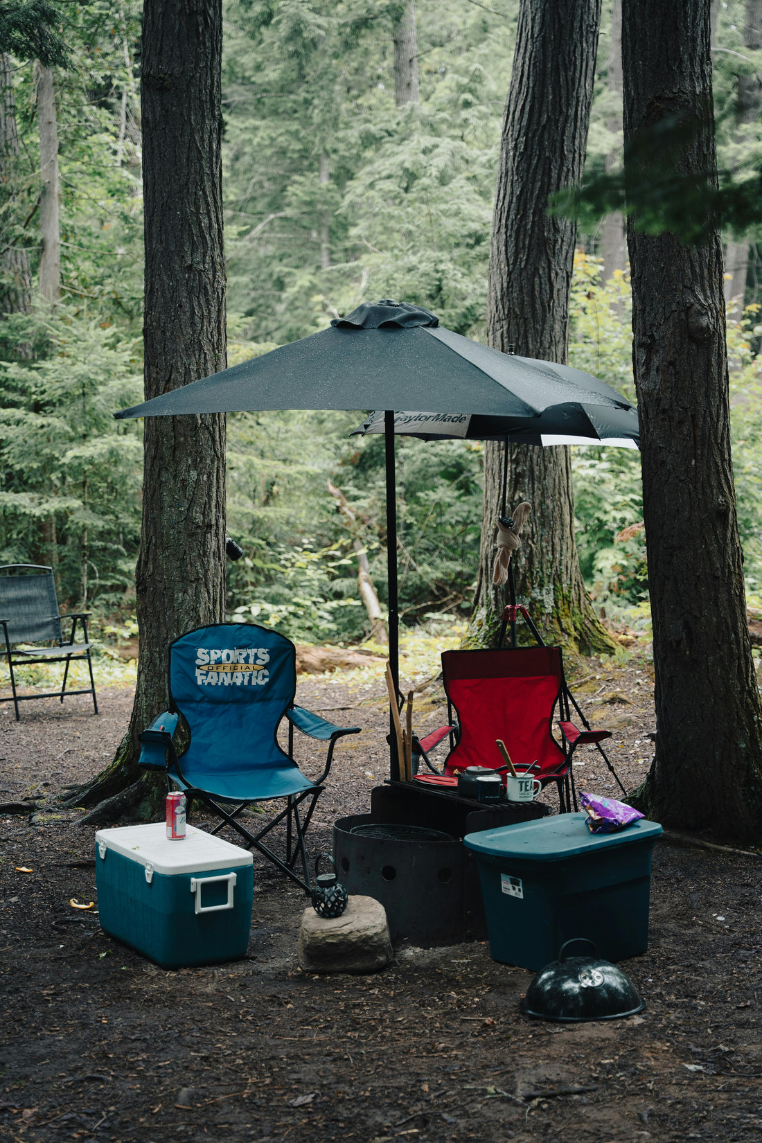 The Camping Trip and the Aggressive Cooler
