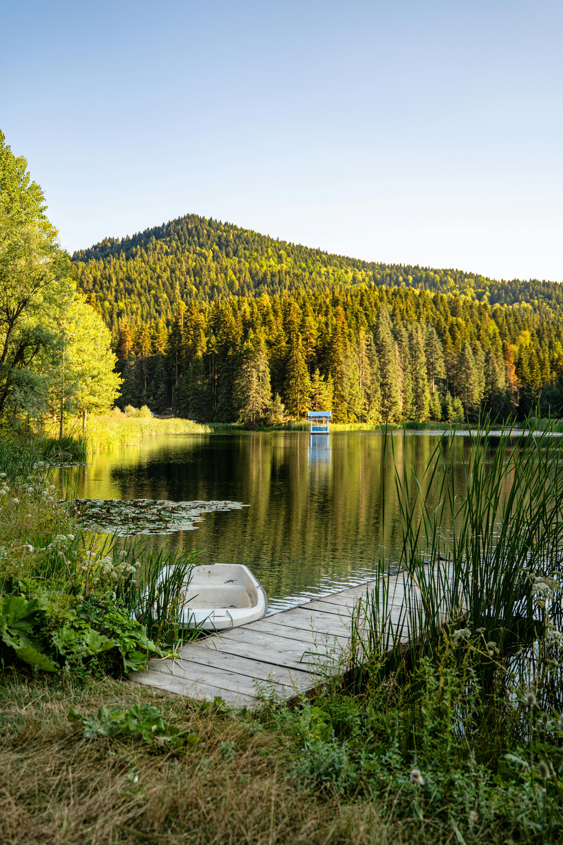 The Corporate Retreat and the Paddleboat