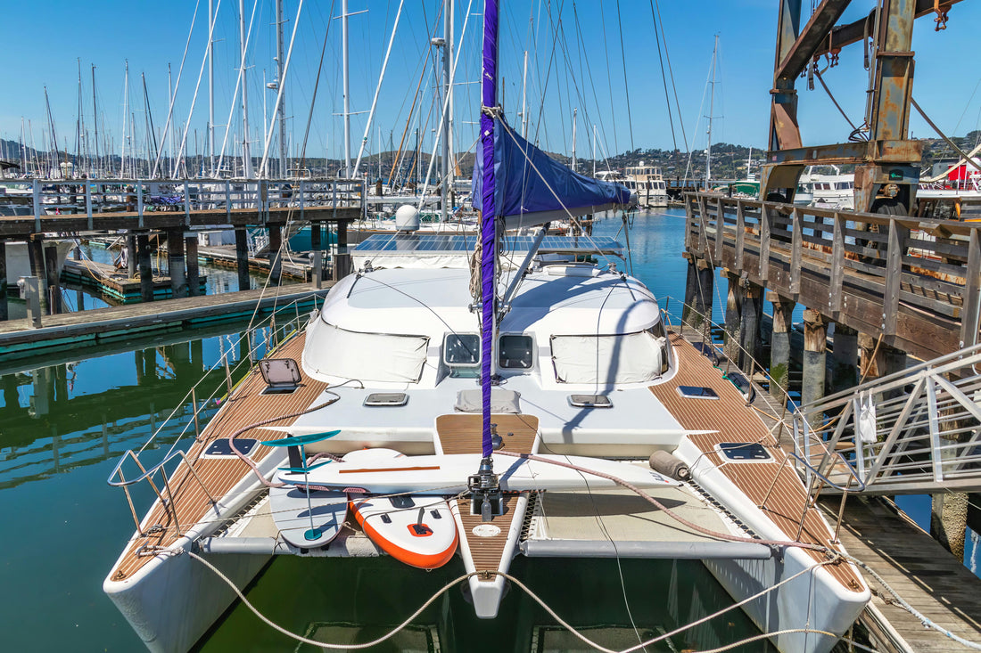 The Paddleboard Panic and the Yacht Club